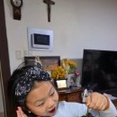 무지개빛농장 이미지