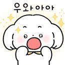 제주댕댕이애견펜션블랙 이미지