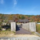 삼포막국수 | 강원도 고성 강아지동반여행 3ㅣ건봉사, 교암막국수 , 삼포해수욕장, 백섬해상전망대