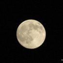 몽마르뜨 이미지