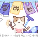 230906 신한플러스/플레이 정답 이미지