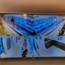 더블루스위밍풀 이미지