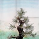 해송2로 이미지