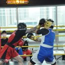 재규어 복싱클럽 이미지