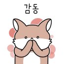 살구스테이 이미지