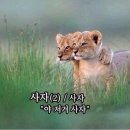 [자코모 소파] 머리 터질뻔한 가죽소파 쇼핑기(루디아 4인 기능성)
