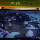모래틈농장 이미지
