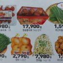 이글루고 태양광발전소 이미지