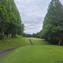 리버골프(300) 이미지