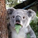 머슬텐W복싱 이미지