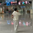 디테일PINO | [ 오버핏 후드티 추천 ] 아르벤토 피노 쉐이크 오버핏 후드 크림 컬러 착용후기