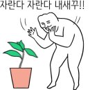 꼴목 경희대점 네이버블로그