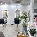 살롱드루체