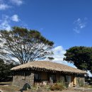 성읍정의현로 | 제주동쪽맛집 •고백소찬• 따뜻한 감성의 제주 또 가고픈 맛집