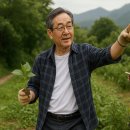 퇴계 이황에게 배우는 인생공부 | 퇴계에게 배우는 은퇴 이후 삶의 네 가지 길