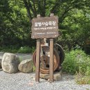 꿈벌사슴목장 | 강원태백여행, 태백카페맛집 초록뿔언덕카페 (꿈벌사슴목장)