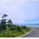 배곧생명공원 이미지