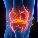 팔달쾌속한의원 이미지