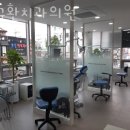 최규환치과의원 네이버블로그