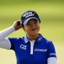 뉴타운골프클럽 이미지