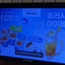 눈꽃초밥 | 인천 구월동 맛집 참새초밥 🍣 신선한 눈꽃연어초밥 &amp; 마끼 후기