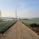 영해버스정류장 이미지