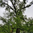 청학근린공원[청학-5] 이미지