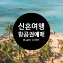 샤인해운항공여행 | W68 : : [신혼여행] 하와이 대한항공 항공권 예매 후기 (마우이 주내선 예약 발권 팁)