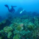 밑거름비디오 이미지