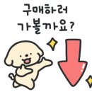 대전정육점 이미지