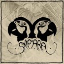 S.T엔터테이먼트 이미지