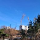 진영문화의집 | 2025. 12. 21 진영 친구와 차이나타운 등 인천 시내 여행