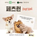 우리고 펫택시 이미지
