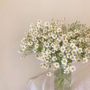 세종모터스 이미지