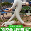 하동 섬진강변길 이미지