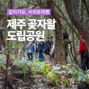 곶자왈 | 신비로운 제주 곶자왈 도립공원 탐방 후기