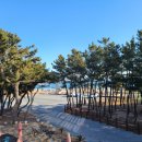 장사솔밭펜션 이미지