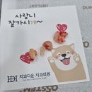 서울사랑니안녕치과의원 | 야탑동 치과] 사랑니 전문 발치 치과 "서울사랑니안녕치과의원"(feat. 수원 치과 추천, 사랑니 보험 청구)