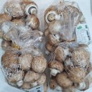 산호동299 | 맘앤맘마창원점-8월31일(화)이유식재료&amp;이유식