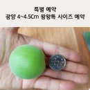 현옥농장 이미지