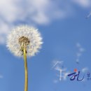 성광 태양광발전소 이미지