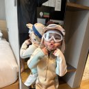 호텔리얼 이미지