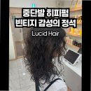 2685 | 루시드헤어 대전둔산점에서 만나는 대전 미용실 여자 헤어스타일 모음