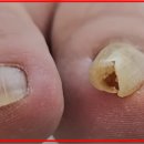 건대입구역 1번출구약국 이미지