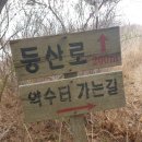 밀양 종남산 진달래 현황 이미지