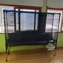 옥곡중학교 이미지