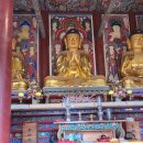 가섭사석가여래좌상 | 보은 법주사 소조삼불좌상(法住寺塑造三佛坐像).충북