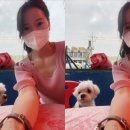 장포마차 이미지