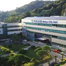 리도안경 이미지