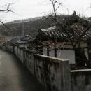유등리 Daum카페